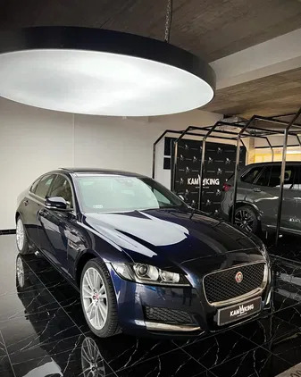 jaguar xf Jaguar XF cena 86900 przebieg: 99400, rok produkcji 2017 z Zamość